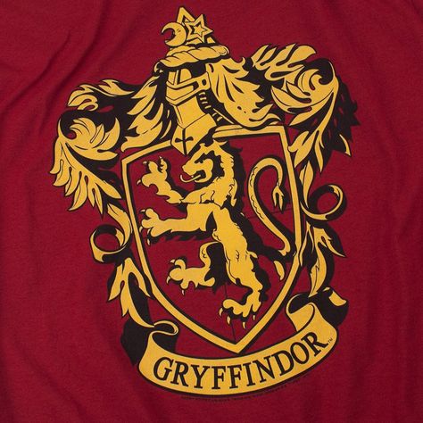 Gryffindor Logo, Harry Potter App, Enemies To Lovers Trope, Harry Potter Logo, Gryffindor Aesthetic, Iphone Themes, The Golden Trio, Harry Potter Icons, Harry Potter Houses