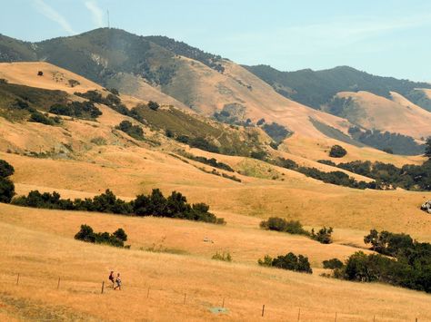 Wide Open. Merced California, California Hills, East Of Eden, California Photos, California Landscape, Oak Trees, Landscape Illustration, Modern Landscaping, Big Sky