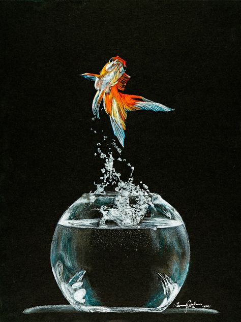 Favorites ‹ National Art Gallery "Koi" color pencils on black paper. By Tammy Ikram TammyArtist.com Black Paper Art, Black Paper Drawing, Colored Pencil Drawings, Colored Pencil Art, Colour Pencil, Art Society, Color Pencils, Colored Pencil Drawing, National Art