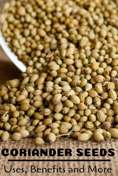 Coriander Seeds Benefits, Benefits Of Coriander, Types Of Spices, Indian Food At Home, Spice Pantry, Cooking Indian Food, Essential Spices, Indian Spice Box, List Of Spices