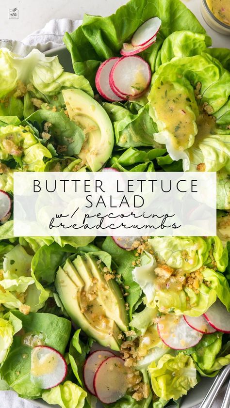 This butter lettuce salad recipe is layered with crisp radishes, sliced avocado, and craggily, cheesy, homemade breadcrumbs. It’s tossed with a simple and flavorful honey mustard vinaigrette dressing which you’ll want to use on salads all summer long. Little Gem Wedge Salad With Herb Dressing, Recipes With Butter Lettuce, Butterleaf Lettuce Salad, Butter Leaf Salad Recipe, Butterhead Lettuce Recipes, Bib Lettuce Salad, Butter Lettuce Recipes, Mustard Vinaigrette Dressing, Salad Plating