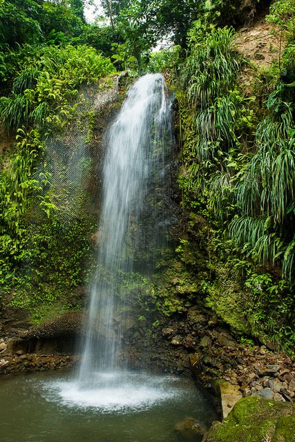 Toraille Waterfall, Soufriere, Saint Lucia, West Indies. | Flickr - Photo Sharing! St Lucia Waterfall, Waterfall Scrapbook, Ladera Resort, St Lucia Honeymoon, St Lucia Vacation, St Lucia Travel, Mud Bath, Saint Lucia, Caribbean Travel