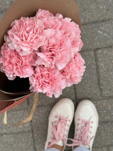 My perfect powder carnations.. Pink Carnation Bouquet, Carnation Aesthetic, Carnations Flower, I Want Flowers, Buy Yourself Flowers, Roses Bouquet Gift, Books And Flowers, Photoshoot Aesthetic, Favourite Flowers