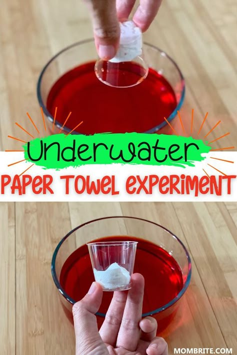 Paper Towel Water Experiment, Science Art Projects For Kids Preschool, Summer Theme Preschool Activities Science Experiments, Water Exploration Preschool, Paper Towel Science Experiment, Discrepant Event Science Elementary, Kindergarten Activities Science, Space Science Experiments For Preschool, Quick And Easy Science Experiments For Preschool