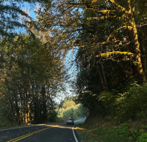 Washington Fall Aesthetic, Washington Countryside, Washington Woods Aesthetic, Washington State Aesthetic Fall, Washington State House Aesthetic, Autumn In Washington State, Sunnyside Washington, Better Alone, Autumn Drives