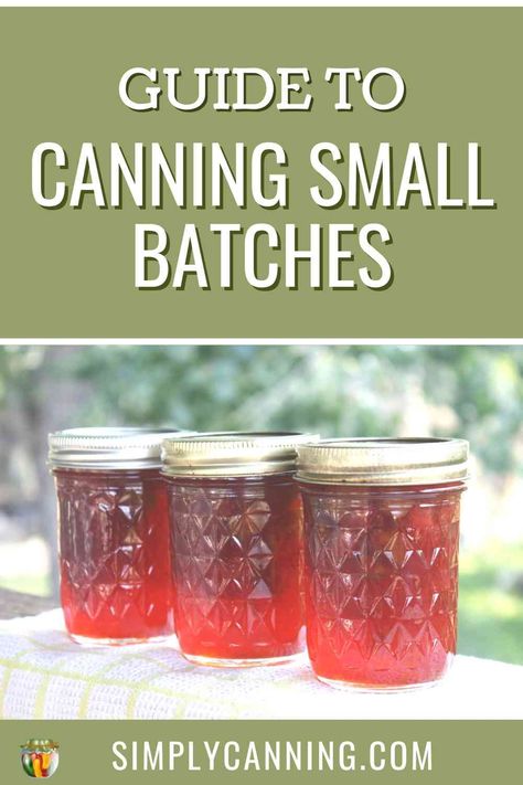 Canning Small Batch Tomatoes, Small Batch Water Bath Canning Recipes, Small Batch Canning Recipes, Small Batch Pickles, Farm Restoration, Vaccum Sealer, Small Batch Canning, Canning Zucchini, Canning Veggies