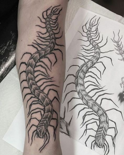 Centipede Spine Tattoo, Centipede Tattoo, Insect Tattoo, Sick Tattoo, Tattoo Stencil Outline, Tattoo Style Drawings, Spine Tattoo, Aesthetic Tattoo, Dream Tattoos