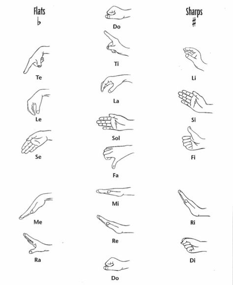 Curwen Hand Signs: Chromatic Scale Kodaly Hand Signs, Teaching Choir, Solfege Hand Signs, Chromatic Scale, Diatonic Scale, Choir Room, Sight Singing, Voice Lessons, Hand Signs