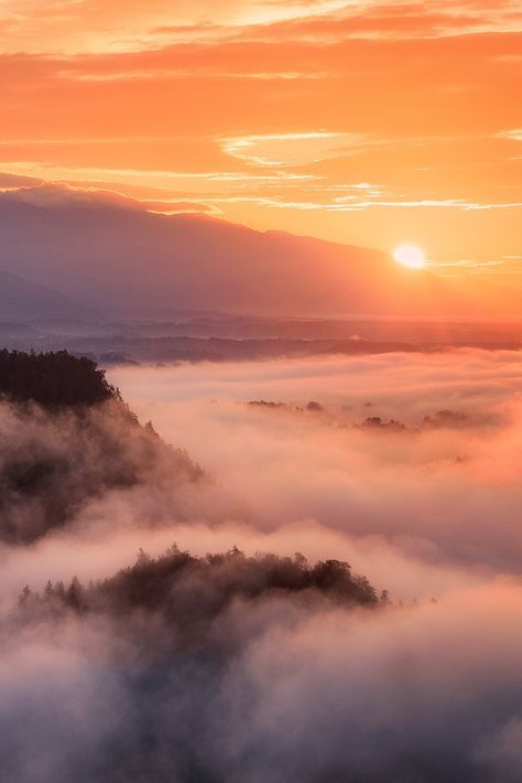 Above The Clouds Wallpaper, Sunrise With Clouds, Mountain Clouds, Above Clouds, Sunrise Clouds, Sunrise Mountain, Sunrise Aesthetic, Sunrise Pictures, Rose Photo