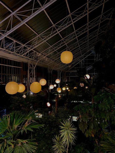 #barbican #greenhouse #plants #nightlife #londonlife Greenhouse At Night, Barbican Wedding, Barbican Conservatory, Conservatory Plants, Plant Night, Barbican Centre, Greenhouse Plants, London Life, Night Life