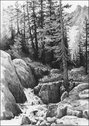 'Ansel Adams Trail' by Diane Wright Graphite Pencil Drawings, Landscape Pencil Drawings, Graphite Art, Pencil Drawing Tutorials, Drawing Hair, Landscape Sketch, Charcoal Drawings, Nature Drawing, Grayscale Coloring