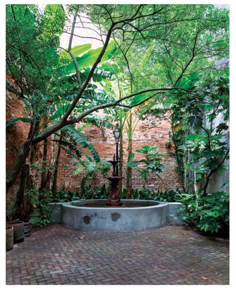 New Orleans Gardens Courtyards, Black Courtyard, Brick Fountain, Ginger Gardening, New Orleans Courtyard, Brick Courtyard, Courtyard Plants, Walled Courtyard, Modern Courtyard