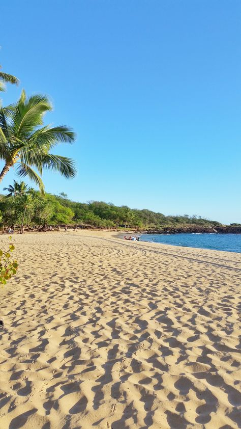 Lanai Hawaii, World Bucket List, Usa Places To Visit, Usa Places, Things To Do In Hawaii, Oahu Travel, Hawaii Things To Do, Day Trip Ideas, Wallpaper Summer