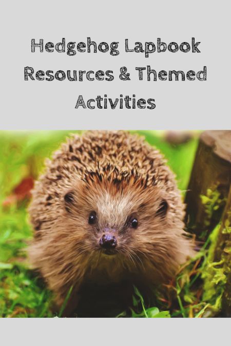 Hedgehog Preschool Activities, Hedgehog Activities For Kids, Hedgehog Activities, English Wildlife, H Activities, Letter H Activities, Hedgehog Day, March Preschool, Hedge Hog