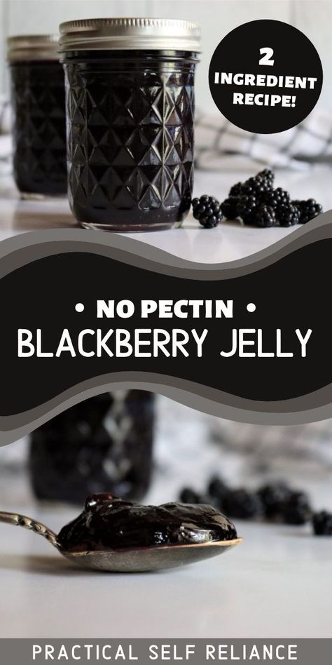 Jelly Without Pectin, Jelly Recipes For Canning, Blackberry Jelly Recipe, Canning Blackberries, Fruit In Jars, Canning Fruit Recipes, Seedless Blackberry Jam, Fruit Jelly Recipe, Preserving Fruit