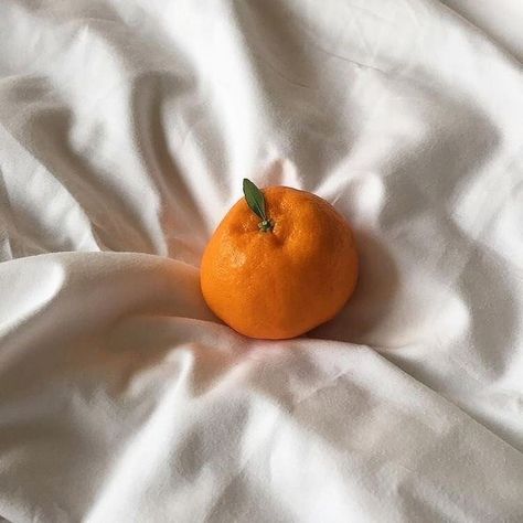 The Garden Of Words, Orange Aesthetic, Aesthetic Colors, White Aesthetic, Green Aesthetic, Aesthetic Photo, Aesthetic Food, Instagram Feed, Aesthetic Pictures