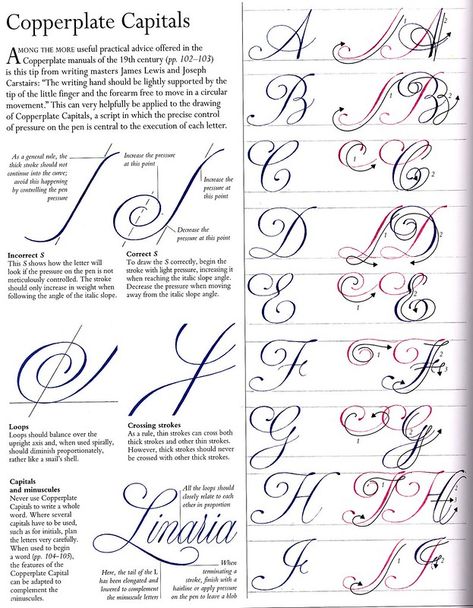 Calligraphy Alphabet Tutorial, Calligraphic Fonts, Fonts Modern, Calligraphy Fonts Alphabet, Calligraphy Worksheet, Hand Lettering Worksheet, Calligraphy Lessons, Calligraphy Tutorial, Copperplate Calligraphy