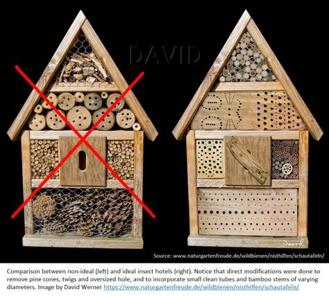 Bee Houses, Bee Hotel, Insect Spray, Bug Hotel, Insect Hotel, Mason Bees, Bee House, Diy Bird Feeder, Bee Garden