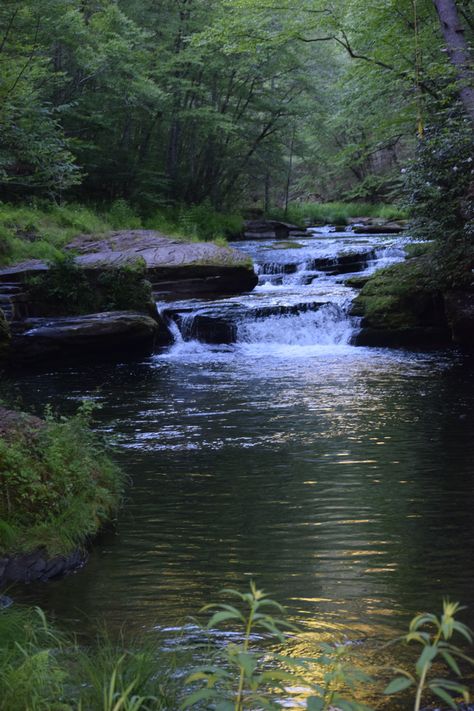 Nature Woods Aesthetic, Waterfall Lake Aesthetic, Beautiful Lake In Forest, Waterfall Forest Aesthetic, Dark Lakes Aesthetic, Forest Lake Aesthetic Dark, Forest And Lake Aesthetic, River In A Forest, River With Waterfall