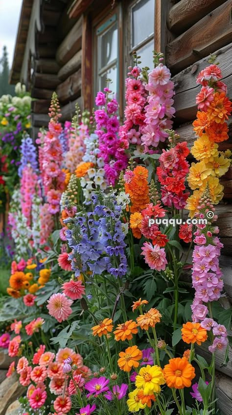 Cottage Plants Outdoor, English Back Garden, Romantic Cottage Garden, French Cottage Garden Provence France, Cottage Flowers Garden, Cottage Core Garden Ideas, Cottage Container Garden, At Home Flower Garden, Cottage Flower Garden Aesthetic