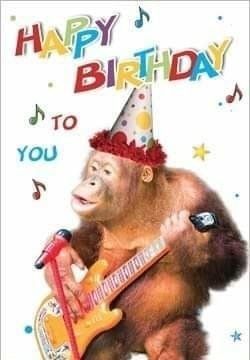 Happy Birthday Big Boy, Silly Happy Birthday, Happy Birthday Funny Humorous, Happy Birthday Animals, Happy Birthday Memes, Funny Happy Birthday Song, Birthday Greetings Funny, Happy Birthday Text, Birthday Memes