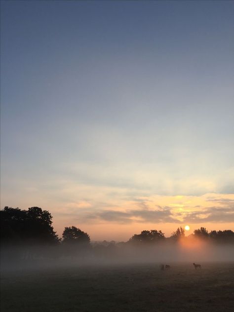 Fog At Dawn, Moorland Aesthetic, Spring Nostalgia, Foggy Sky, Foggy Weather, Dog Things, Morning Mist, Early Mornings, Morning Sunrise