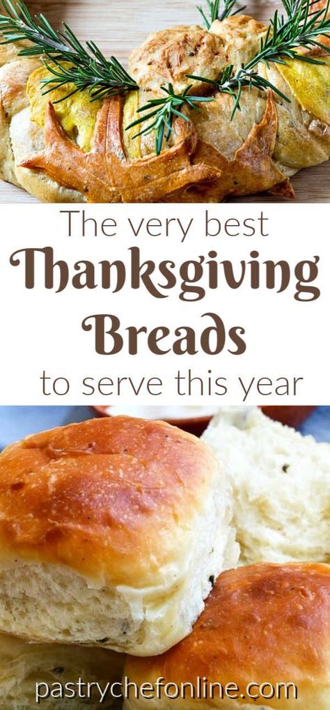 I've rounded up the best Thanksgiving breads for you to make to serve along with your Thanksgiving dinner. The best bread recipes and roll recipes, plus a couple of biscuit recipes for folks who don't think dinner is complete without a biscuit! Many of these breads & rolls can be served any time of year, but others are seasoned with Thanksgiving spices or are savory pumpkin breads, making them very seasonal. #Thanksgivingbreads #Thanksgivingrolls #breadrecipes #rolls #biscuits #pastrychefonline Thanksgiving Bread Ideas, Thanksgiving Breads, Thanksgiving Biscuits, Pictures Of Thanksgiving, Bread For Thanksgiving, Pumpkin Breads, Thanksgiving Bread Recipes, Wall Garden Ideas, Thanksgiving Dinner Rolls