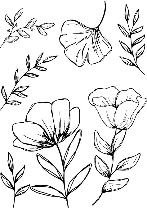 . Over 100 high-resolution images of botanical art in a variety of styles to download and. #BusinessFonts #ProfessionalFonts #CreativeFonts  #FontLove #FontObsessed Flower Art Drawing, Floral Drawing, Flower Doodles, Botanical Drawings, الرسومات اللطيفة, Botanical Art, Flower Drawing, Drawing Inspiration, Doodle Art