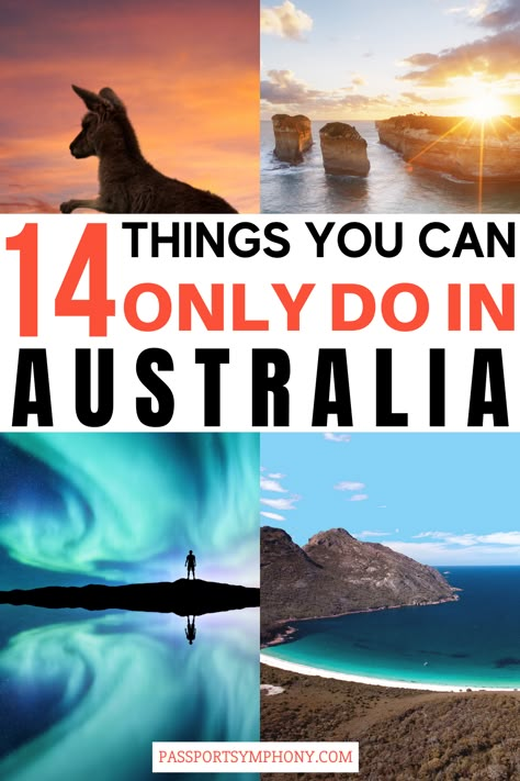 Let’s just say Australia has a lot of things that are worth going halfway around the world to see. In this article, we are going to take a look at just a few of the truly unusual yet incredible experiences you can have only in Australia, and nowhere else, including things you might never think you could do there. Things To Do In Australia Bucket Lists, Things To Do Australia, Australia Vacation Destinations, Australia Must See Places, Australia Must See, Visiting Australia, Best Things To Do In Australia, What To Do In Australia, Best Places To Visit In Australia