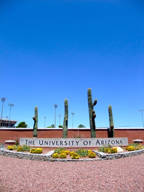 University of Arizona Uofa Wildcats Arizona, Arizona State University Aesthetic, University Of Arizona Aesthetic, University Of Miami Campus, U Of Arizona, University Of Arizona Tucson, University Of Arizona Campus, University Of Michigan Logo, University Of Michigan Campus