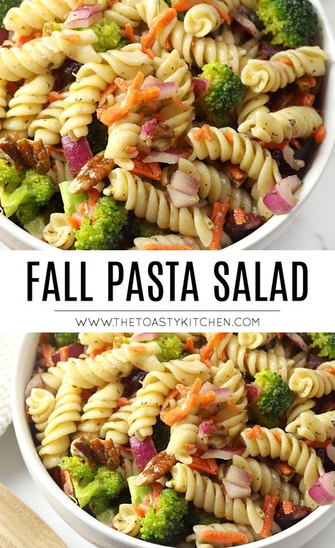 Thanksgiving Pasta Salad With Butternut Squash, Salad For Fall Party, Pasta Salad For Thanksgiving Dinner, Cold Pasta Salad Recipes Thanksgiving, Pasta Side Salad Recipes, Side Dishes For Fall Cookout, Fall Pasta Salads For Parties, Thanksgiving Salad Side Dishes, Vegan Fall Pasta Salad