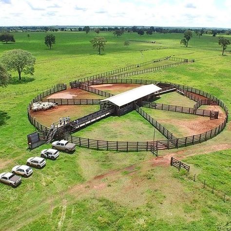 Reban Ayam, Cattle Facility, Poultry Farm Design, Cattle Corrals, Horse Farm Ideas, Horse Barn Ideas Stables, Raising Farm Animals, Farm Shed, Farm Plans