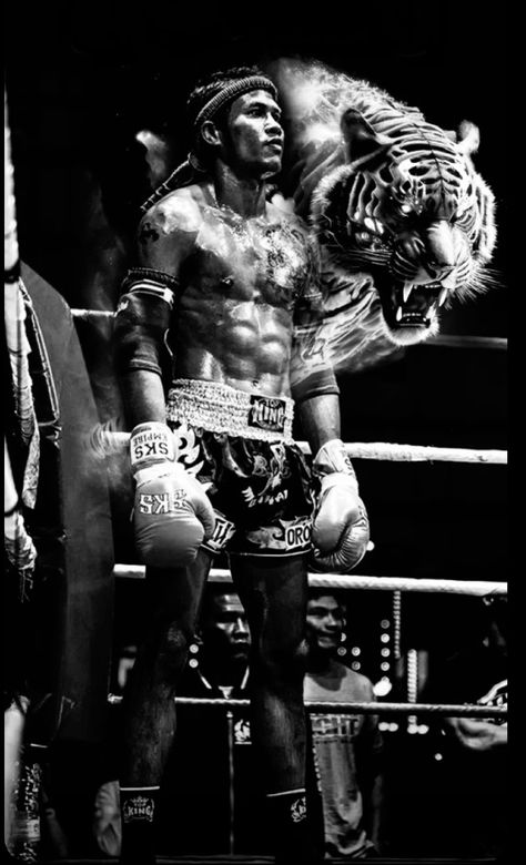 Buakaw Muay Thai Wallpaper, Mma Wallpaper Ufc, Ufc Fighters Wallpaper, Muay Thai Wallpaper, Muay Thai Aesthetic, Boxer Wallpaper, Ufc Wallpapers, Muay Thai Art, Mma Wallpaper