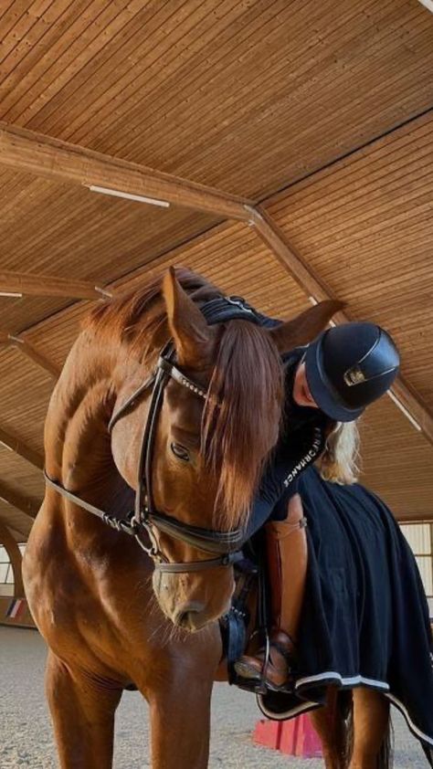 🐎 Gifting Horsepower: Discover 30+ useful gifts for horse trainers in 2024, showing appreciation for their dedication to these magnificent animals. #HorseTrainerGifts 🏇💙 Horseback Riding Outfit, Aesthetic Equestrian, Riding Outfit Equestrian, Horsey Life, Horse Riding Aesthetic, Equestrian Aesthetic, Cute Horse Pictures, Equestrian Chic, Equestrian Girls