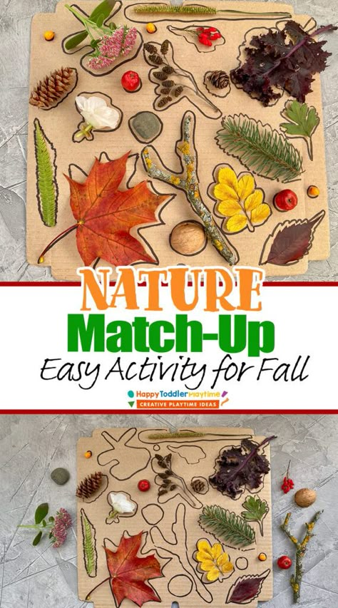 Tree Exploration Preschool, Fall Nature Sensory Bin, Nature Art Activities For Preschool, Fall Montessori Activities For Preschool, Forest School Sensory Activities, Harvest Toddler Activities, Nature Activity For Toddlers, Toddler Autumn Activities, Nature Montessori Activities