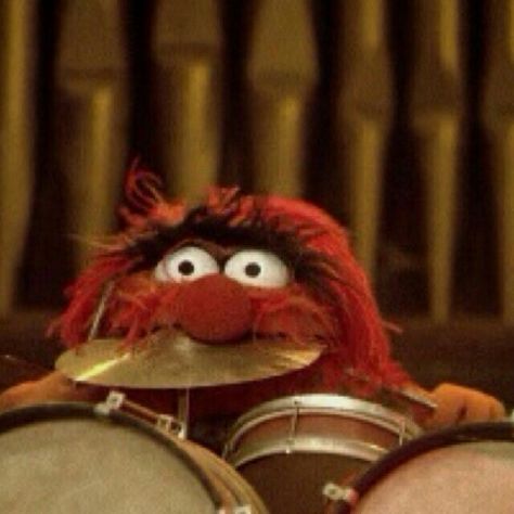 Epi Y Blas, Animal Muppet, Clarinets, Sesame Street Muppets, Saxophones, Child Hood, Drum Sets, Silly Puppets, Fraggle Rock