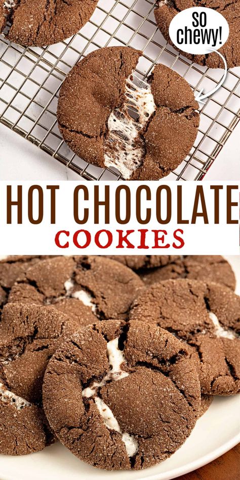 Baking With Hot Chocolate Powder, Hot Chocolate Baked Goods, Christmas Cookies Hot Cocoa, Things To Bake For Christmas Party, Hit Chocolate Cookie, Hot Choc Cookies, Swiss Miss Hot Chocolate Cookies, Thm Christmas Cookies, Homemade Christmas Cookies Recipes