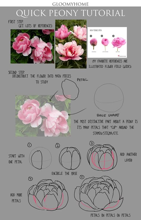 Ako Kresliť, Peony Drawing, Fav Flower, How To Draw Flowers, Săpunuri Handmade, Flowers Peonies, Flower Drawing Tutorials, Draw Flowers, Peony Painting