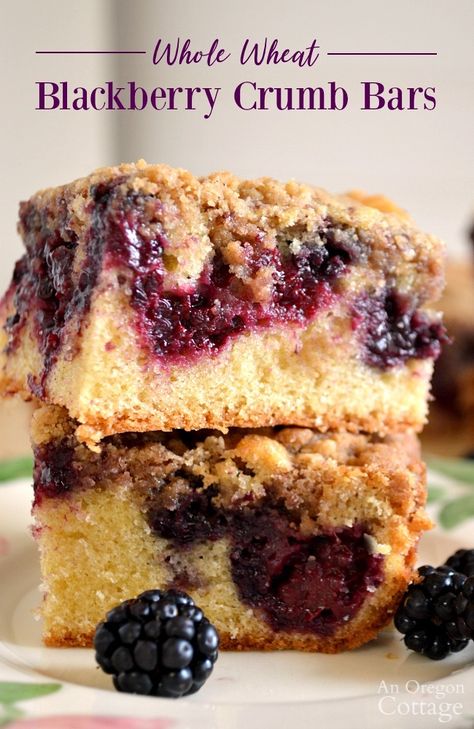 Use fresh blackberries to make moist and delicious Whole Wheat Blackberry Crumb Bars for your next summer gathering! Oregon Cottage, Breakfast Coffee Cake, Crumb Bars, Blackberry Recipes, Easy Dessert Recipes Quick, Dessert Snacks, Quick Easy Desserts, Best Healthy Recipes, Blueberry Recipes