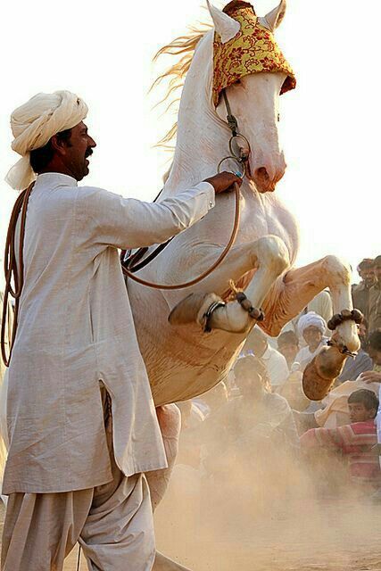 Culture Of Pakistan, India Dancing, Pakistan Photography, Pakistan Culture, Beauty Of Pakistan, Pakistani Culture, Beautiful Pakistan, Pakistan Travel, Pakistan Zindabad