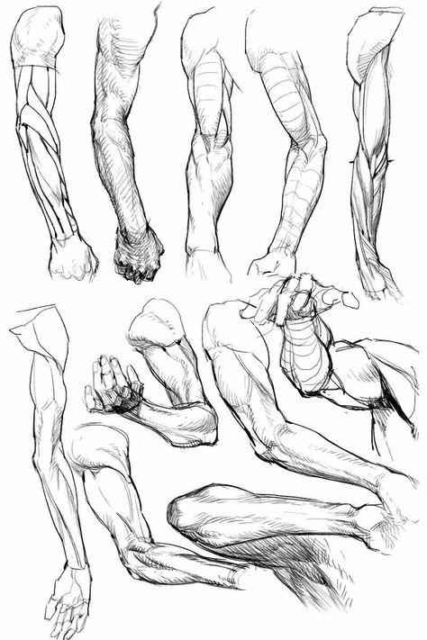 Muscle Anatomy Pose, Arm Figure Drawing, Muscled Arm Reference, Anime Muscles Reference, Arm Art Anatomy, Spear Poses Drawing Reference Male, Arms In Different Poses Drawing, Muscle Hand Reference, Male Arms Anatomy