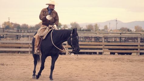 Buck Brannaman, Horse Training Exercises, Horse Exercises, Natural Horsemanship, Equestrian Helmet, Horse Training Tips, Horse Tips, Horse Health, Horse Blankets