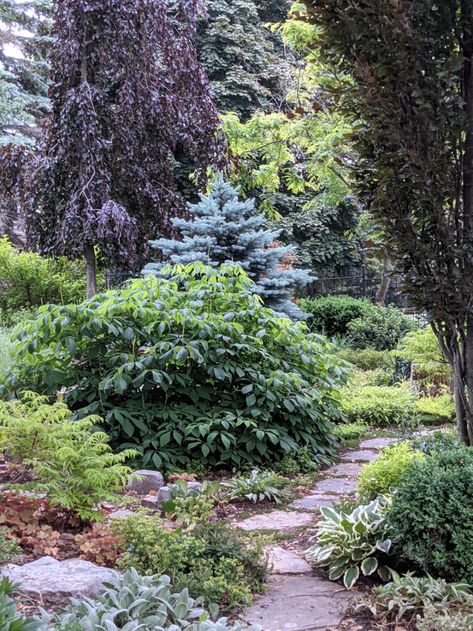 Pretty Pathways, Ontario Garden, Gardening Photos, Mid Century Landscape, Lovely Landscapes, Stone Garden Paths, Fine Gardening Magazine, Flagstone Path, Shadow Garden