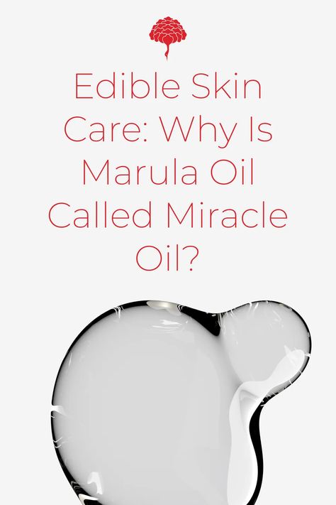 Thick yet lightweight marula oil stimulates collagen production. Containing antioxidants, it regenerates and smooths your skin Marula Oil Benefits, Nose Problems, Tips For New Moms, Natural Healing Remedies, Best Skin Care Products, Marula Oil, Edible Oil, Cell Regeneration, Diy Beauty Recipes