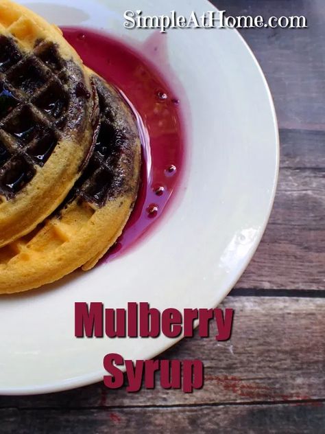 Mulberry Syrup, Summer Foraging, Mulberry Jam, Mulberry Recipes, Summer Traditions, Way Back Home, Berries Recipes, Fruit Breakfast, Nothing New