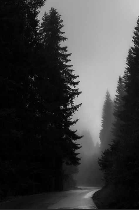 Foggy Nature, Gothic Landscape, Dark Naturalism, Dark Forest Aesthetic, Dark Black Wallpaper, Iphone Dynamic Wallpaper, Glitch Wallpaper, Bts Aesthetic Wallpaper For Phone, Simple Phone Wallpapers