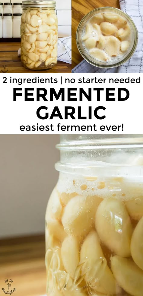 Fermented Garlic is the easiest ferment EVER! With just 2 ingredients and no starter culture required, you can preserve garlic through the magic of fermentation for a health-promoting food that can be added to your favorite dishes, dips, dressings, and used as a natural remedy! #allthenourishingthings #fermentation #garlic #westonaprice Fermenting Vegetables Recipes, Fermented Dill Pickles Recipe, Fermented Mushrooms, Preserve Garlic, Preserving Garlic, Fermenting Foods, Fermenting Recipes, Fermented Vegetables Recipes, Fermented Garlic