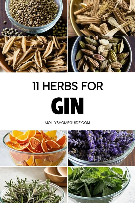 Discover the wonderful world of gin botanicals with these homemade herbal gin recipes. Elevate your cocktails with herbs for gin and enjoy the refreshing twist they bring to your beverages. From infused gin to herb-infused cocktails, explore new ways to savor the flavors of fresh herbs in your favorite drinks. Whether you're a fan of classic gin and tonic or looking to experiment with unique combinations, incorporating herbs into your cocktails can add a delightful touch to your gatherings or qu Botanical Gin Cocktail, Gin Botanicals Recipes, Making Gin, Gin Infusions, Homemade Gin, Gin Recipe, Infused Gin Recipes, Cocktail Infusion Recipes, Gin Drinks Recipes