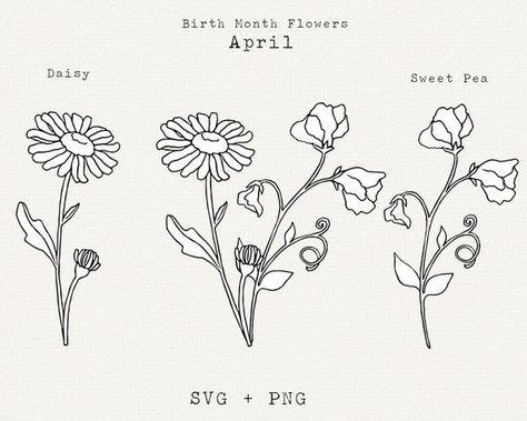 Daisy SVG, Sweet Pea SVG, April Birth Month Flower SVG, April Birthday Flower, Botanical Line Art, Floral Clipart, Sweetpea, Cricut Cut File - Etsy April birth flower tattoo #zicxa-photos #zicxa #images #background #wallpaper #freepik #shutterstock #VN Daisy And Sweet Pea Bouquet Tattoo, Sweet Pea Flowers Drawing, Sweat Pea Tattoo, April Birth Month Flower, Birth Month Flower Svg, Sweet Pea Tattoo, April Birth Month, Sweet Pea Flower, Daisy Svg