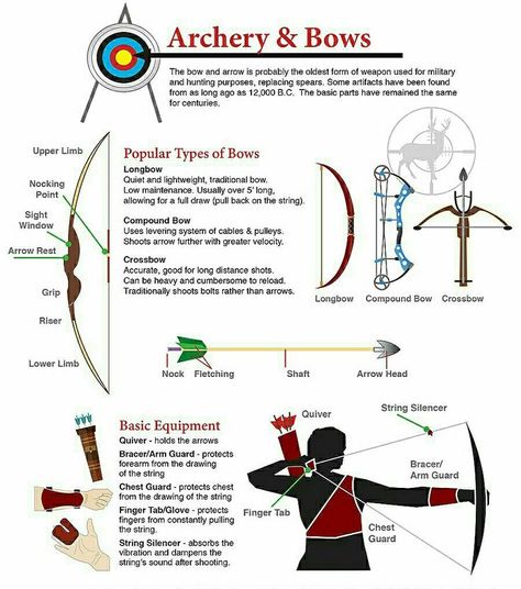 Bow Types Archery, Different Types Of Bows Archery, Archery Tips For Beginners, Types Of Bows Archery, Archery Knowledge, Archery Techniques, Archery Aesthetic, Archery Lessons, Archery Training